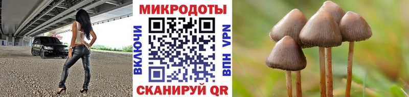 Псилоцибиновые грибы мицелий Полевской