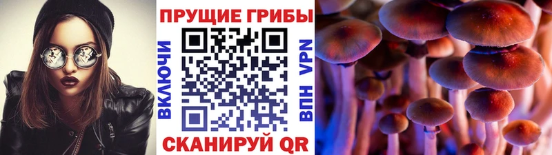 Псилоцибиновые грибы ЛСД  MEGA ONION  дарк нет какой сайт  Полевской 